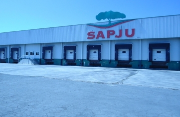 Sapju: Ver imagens